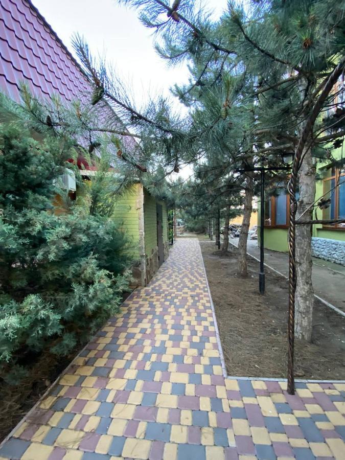 Villa Sosnovy Bor Zatoka Exteriér fotografie