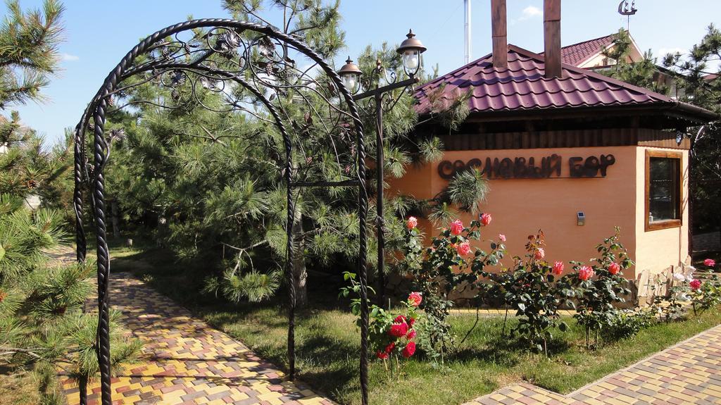 Villa Sosnovy Bor Zatoka Exteriér fotografie